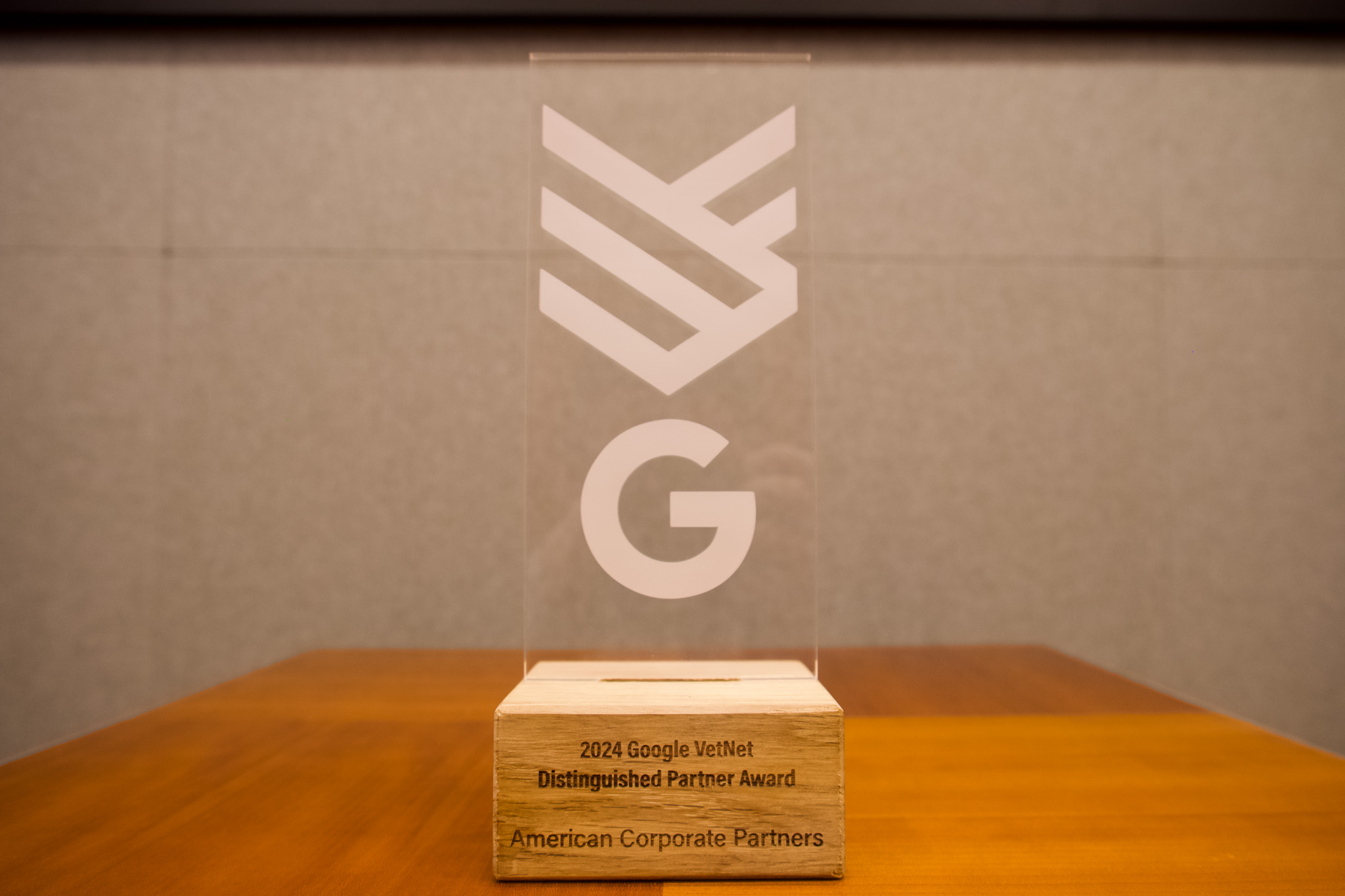 2024 Google VetNet Distinguished Partner Award Recognizes American ...